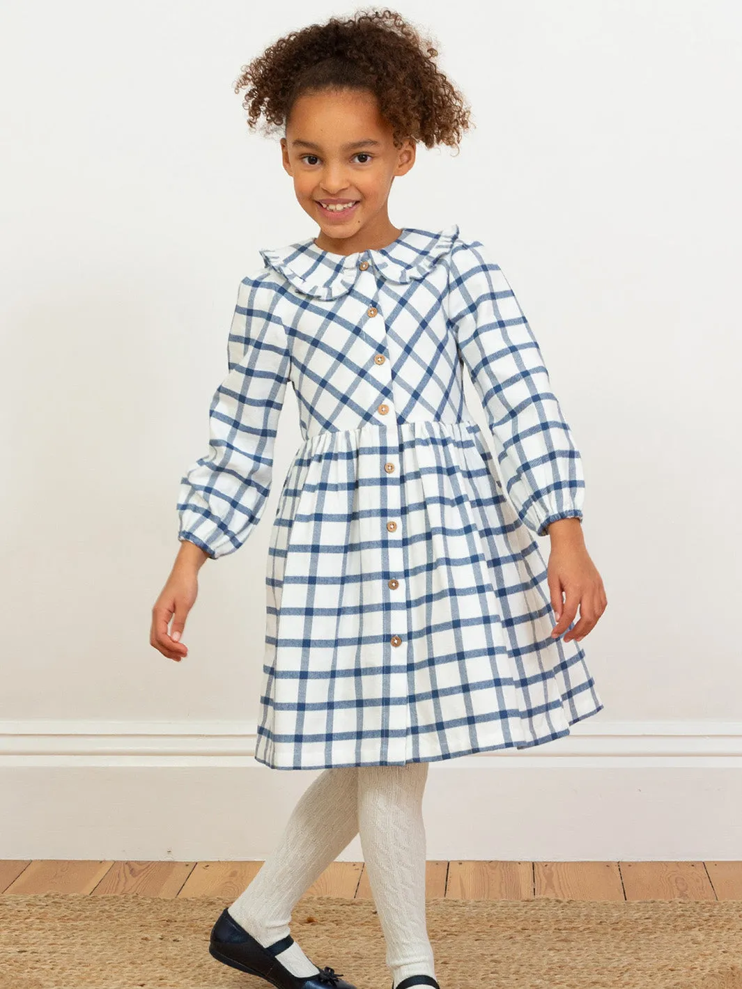 Check dolly collar dress