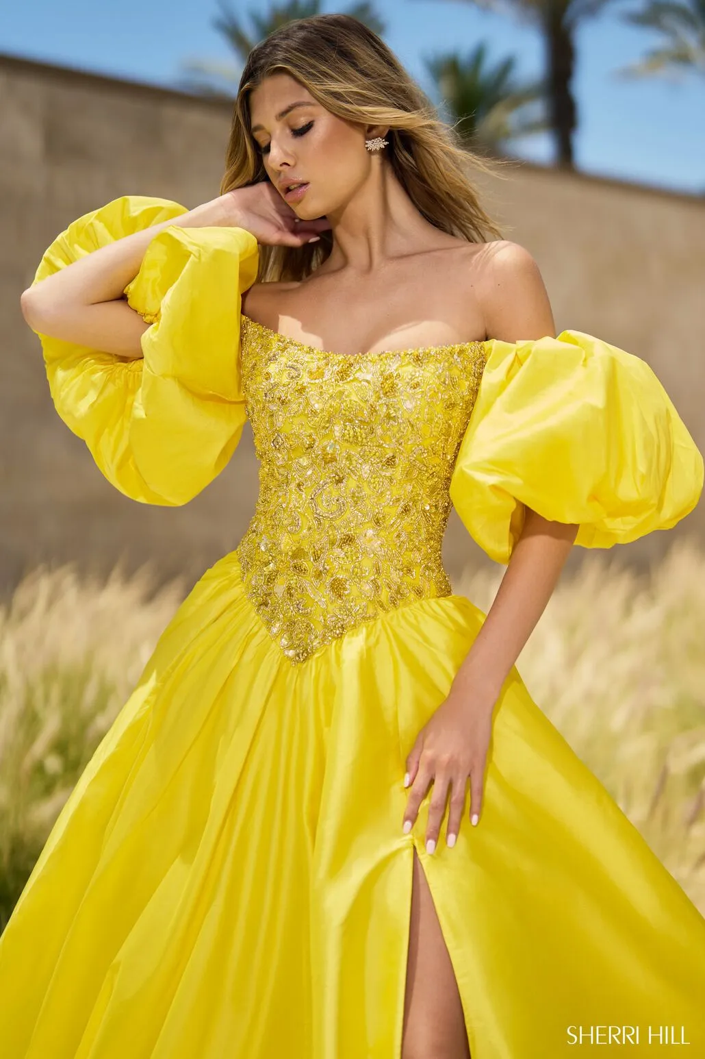 Sherri Hill 55641 Dresses